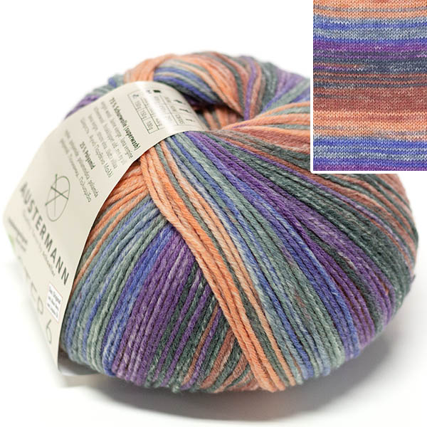 Step 6 150g 0627 Austermann