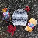 x_Pitsimyssy_Blossom Fade.webp