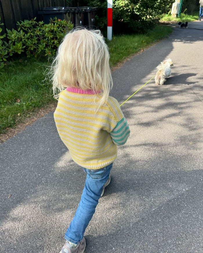 [PKHOLGEROHJE] Holger Sweater ohje PetiteKnit