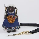 Tarvikepidike Baabs Lantern Moon istuva lammas