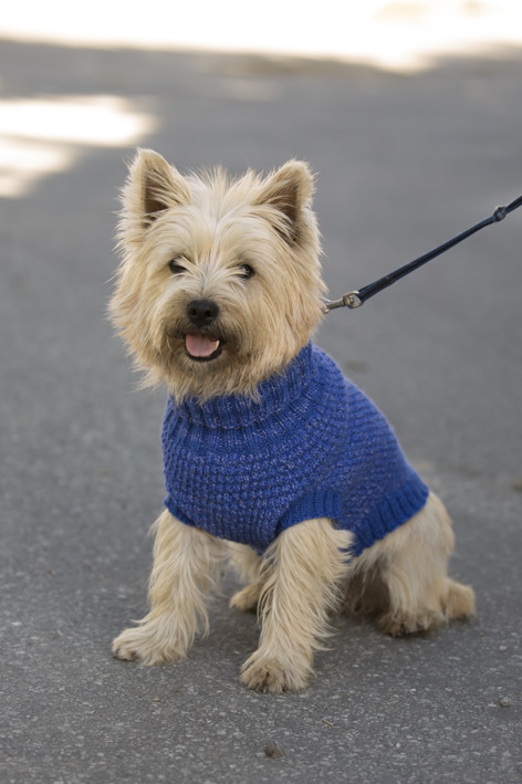 Koiran heijastava asu | Viking Garn 1711-26 ohje