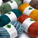 Aloe Sockwool 100g Hjertegarn